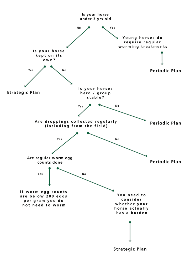 worming-farr-pursey-equine