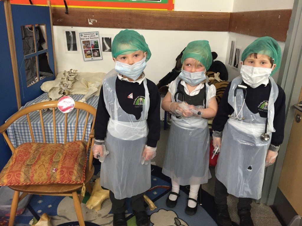 Budding little vets