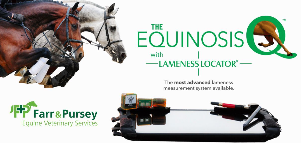 Equinosis Equinosis