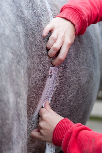 shutterstock 182382368 shutterstock 182382368
