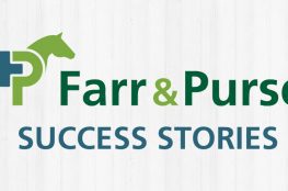 Success Stories Banner