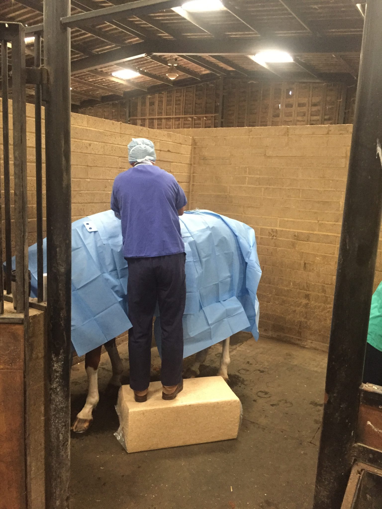 IMG 3511 e1505076743154