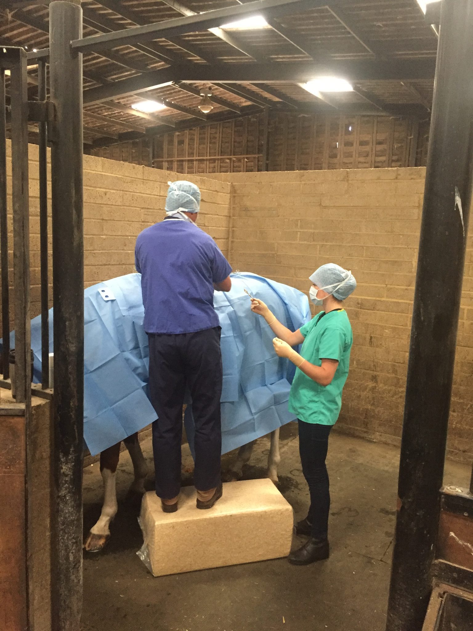 IMG 3512 e1505076807705