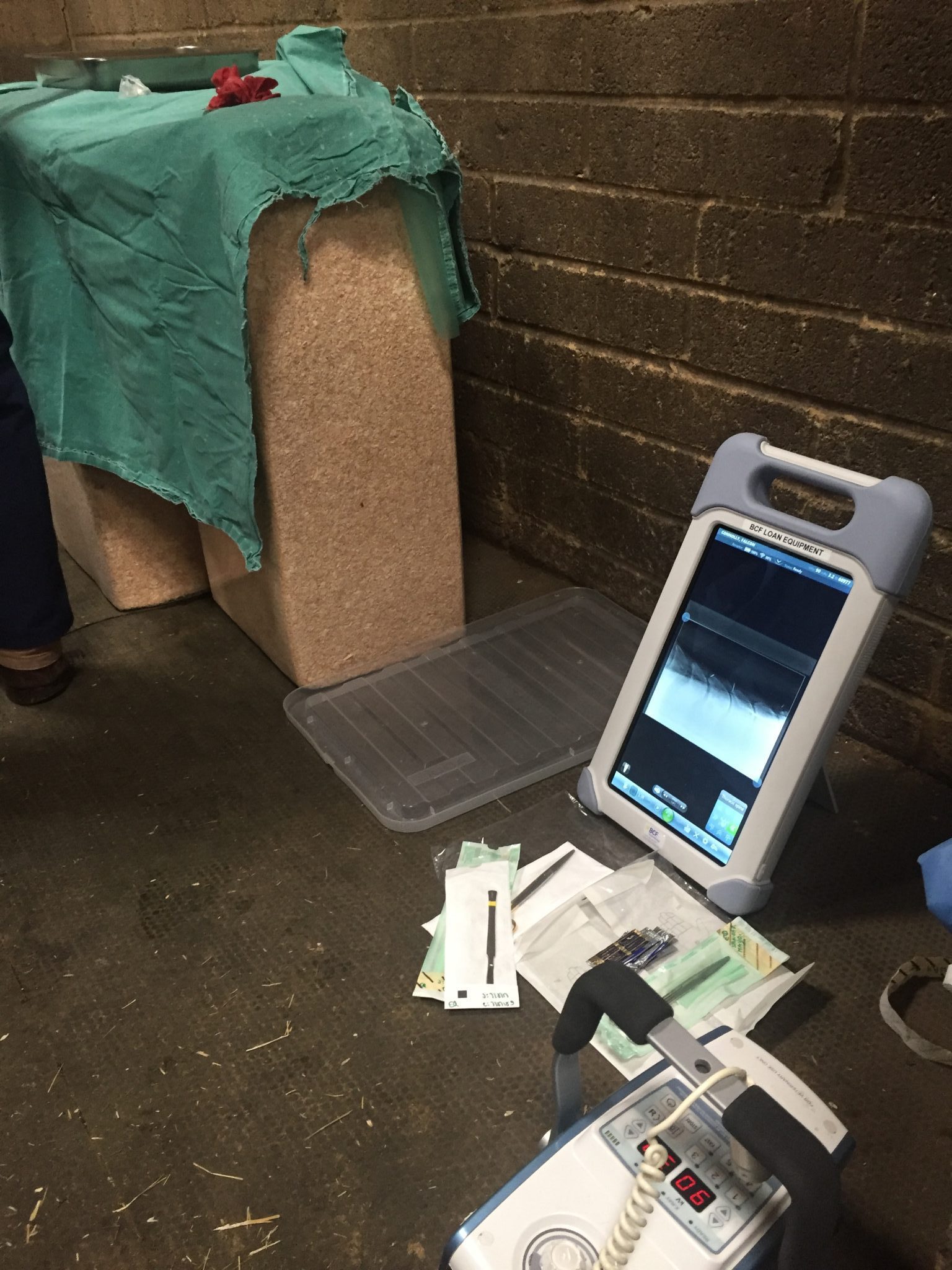 IMG 3520 e1505076858554