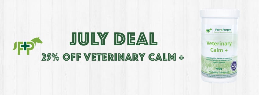 Website Banners July