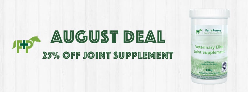 Website Banners for online shop deals August