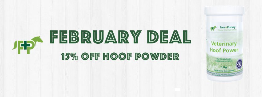 Website Banners for online shop deals Feb