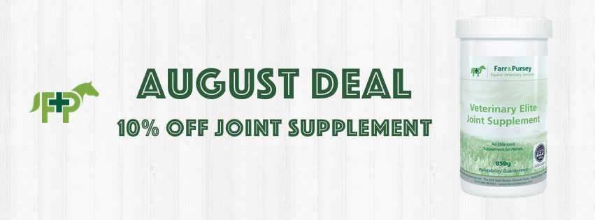 Website Banners for online shop deals August