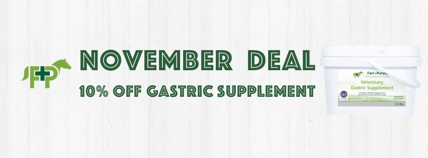 Website Banners for online shop deals November