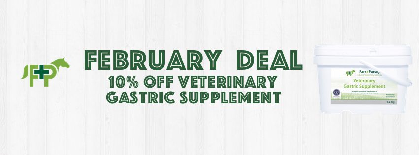 Website Banners for online shop deals Feb 20