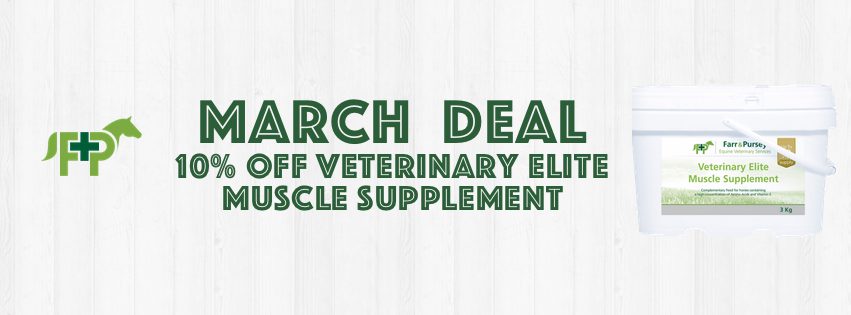 Website Banners for online shop deals March 20