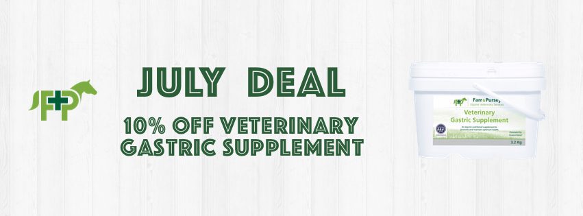 Website Banners for online shop deals July 20