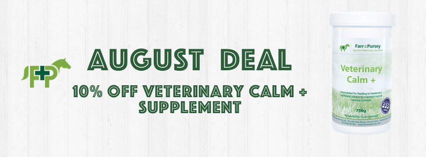 Website Banners for online shop deals Aug 2020