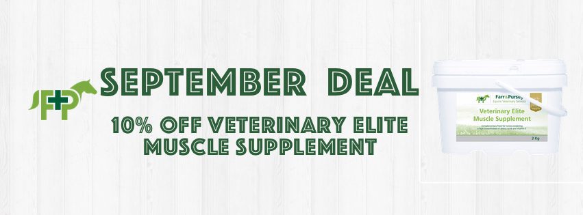 Website Banners for online shop deals Sept 20