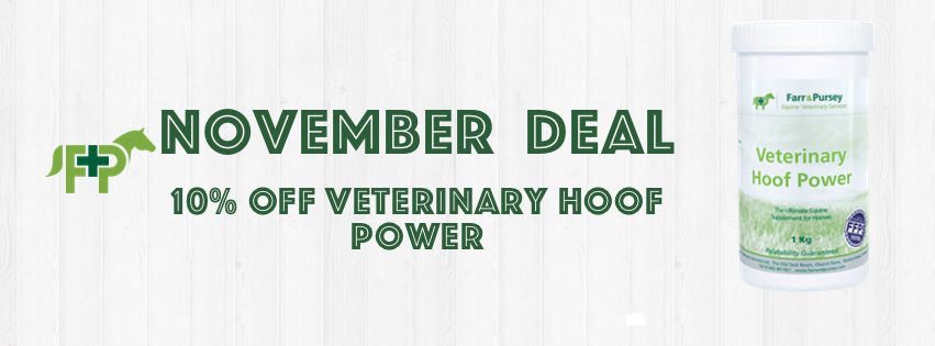 Website Banners for online shop deals Nov 2020