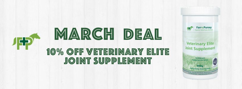 Website Banners for online shop deals March 2021