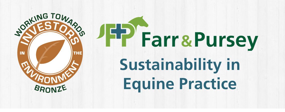 Sustainability In Equine Practice