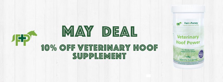 Website Banners for online shop deals May 21