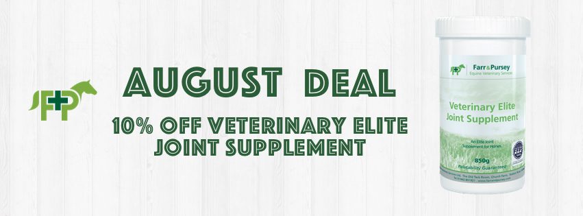 Website Banners for online shop deals Aug 21