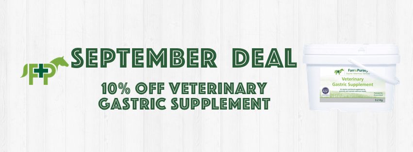 Website Banners for online shop deals Sept 2021