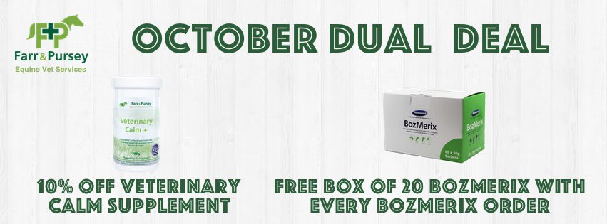 Website Banners for online shop deals