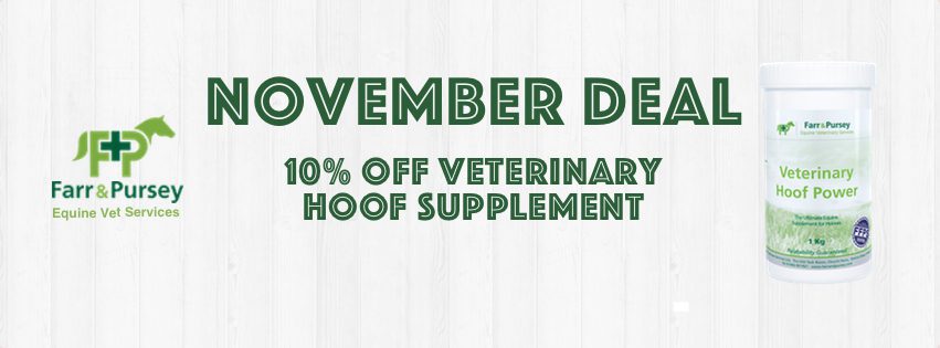 Website Banners for online shop deals Nov