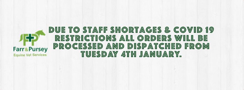 Website Banners for online shop Orders