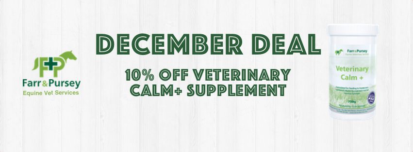 Website Banners for online shop deals Dec 2021