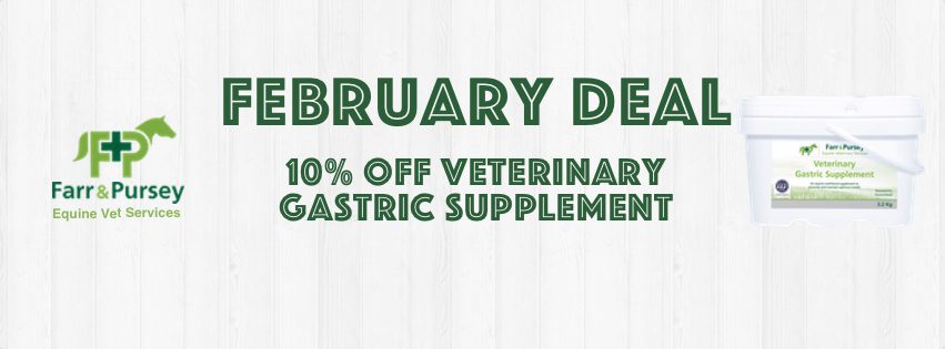 Website Banners for online shop deals Feb 2022