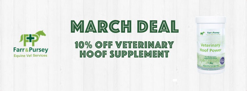 Website Banners for online shop deals March 2022