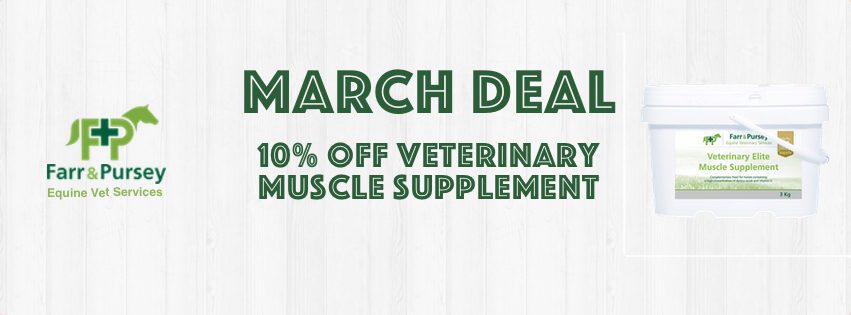 Website Banners for online shop deals March 22