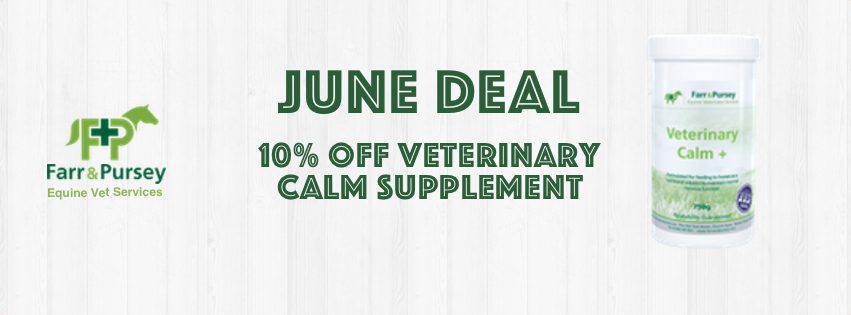 Website Banners for online shop deals June Deal