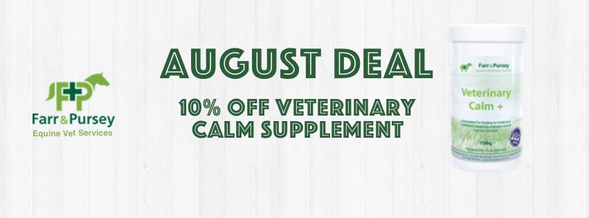 Website Banners for online shop deals Aug 22