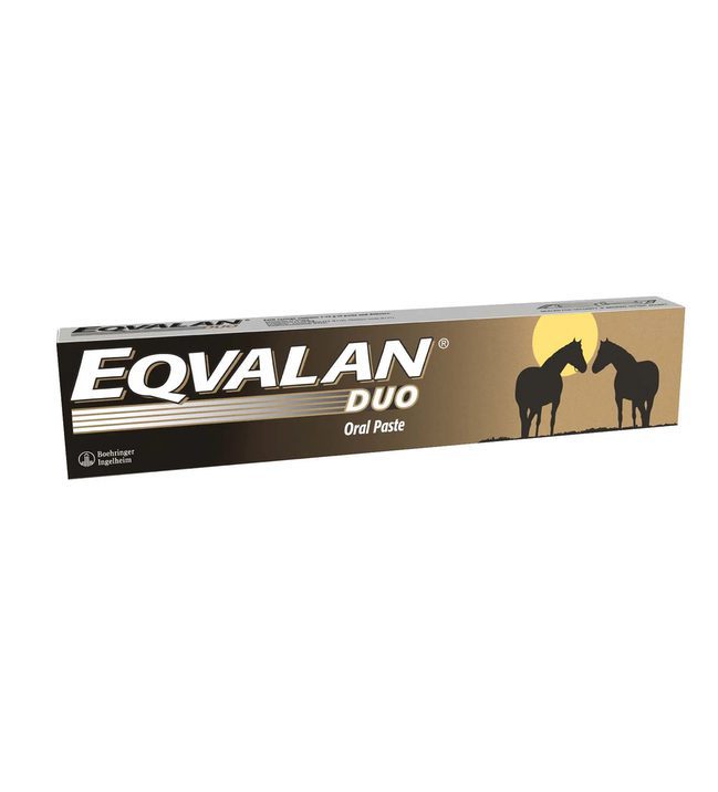 Eqvalan Duo