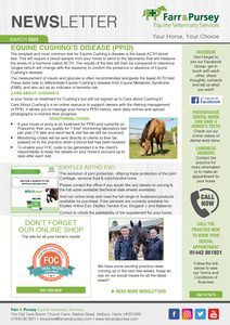 Website Newsletter ThumbnailsMAR24