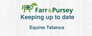 Equine / Horse tetanus