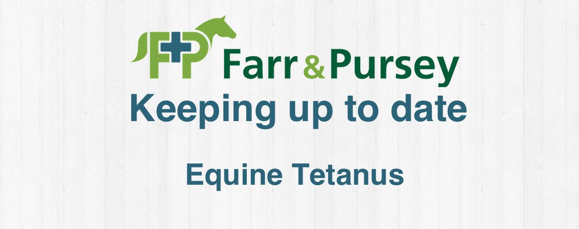 Equine / Horse tetanus